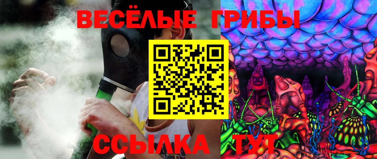 Галлюциногенные грибы Psilocybe  Вход с VPN  Курганинск  Галлюциногенные грибы мицелий 